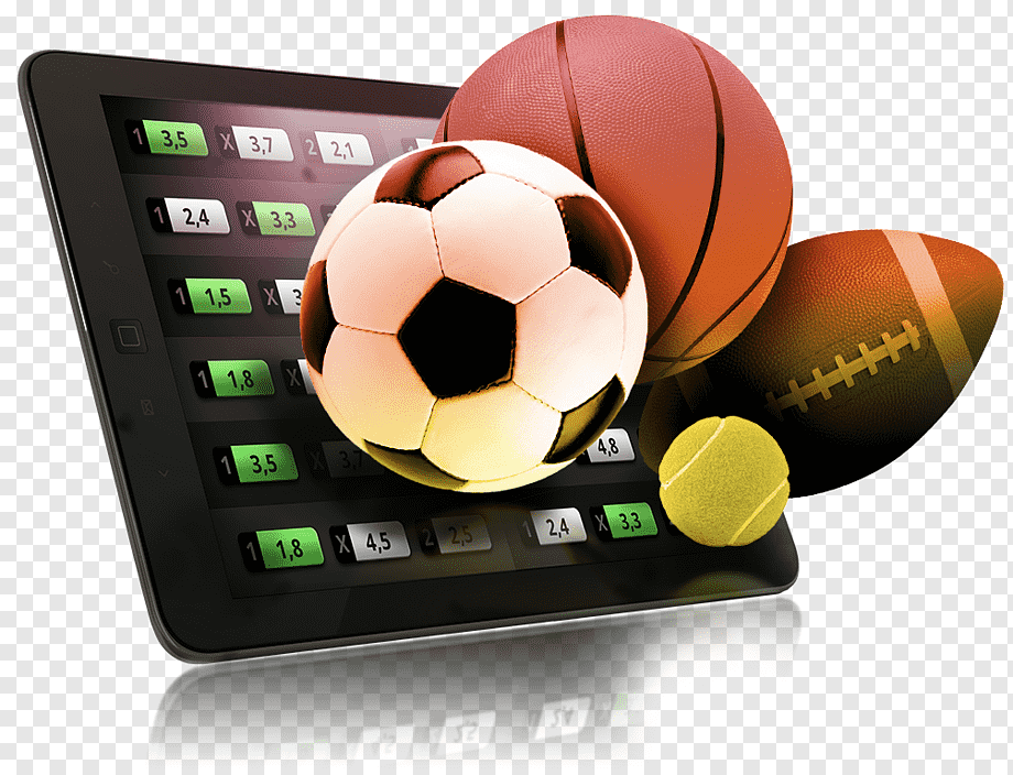 Best Sites for Basketball Bets 23 Best Sites for Basketball Bets 23